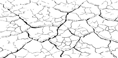 The white background features irregular patterns resembling parched earth.Gray textured background with blank space.Cracked white background with a dry, textured style.	