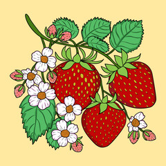 Strawberries with flowers, yellow background