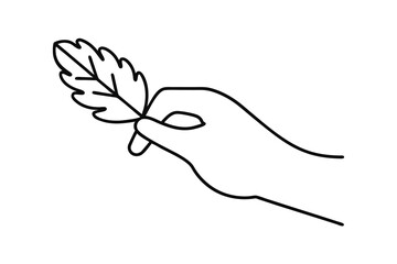 Hand holding a single leaf line drawing illustration
