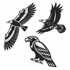 Majestic eagles in flight and perched powerful birds of prey black and white vector illustration