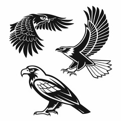 Three black and white eagle and hawk designs