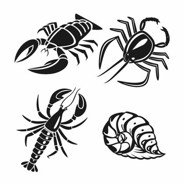Stylized seafood collection lobster crab shrimp shell black and white illustration
