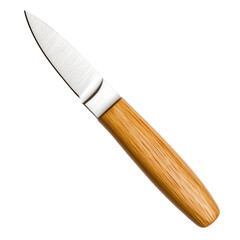 Elegant Kitchen Knife with Wooden Handle