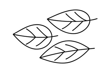 Simple line drawing of three leaves nature botanical illustration