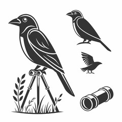 Birdwatching bird on tripod binoculars nature wildlife