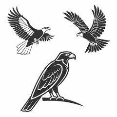 Obraz premium Majestic eagles and hawk birds of prey in flight and perched
