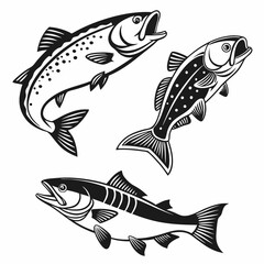 Three types of fish leaping black and white illustration