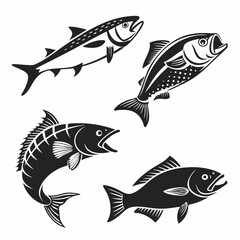 Four different types of fish black and white illustration