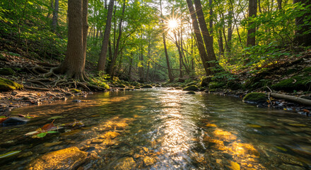 autumn forest in the morning