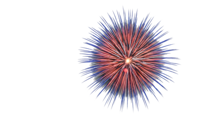 Firework display celebration pyrotechnics burst light show event festive night sky red blue firework isolated on Transparent background