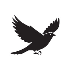 silhouette of a dove