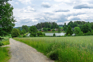 Ausblick auf den Forstteich Lindenau an einem bewölkten Sommertag