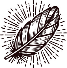 Obraz premium -minimalist-feather-with-mystical-energy-lines---- (2).eps