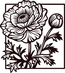 Intricate line art of blooming ranunculus flower with detailed leaves and bud in stylized botanical frame