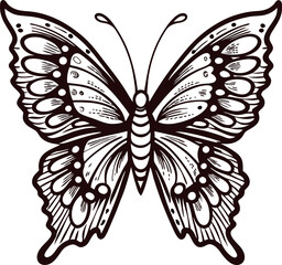 Intricately detailed butterfly illustration in vintage engraving with ornate wing patterns