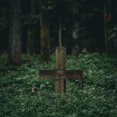 An old weathered wooden cross standing among dense greenery in a quiet forest. The atmosphere is...