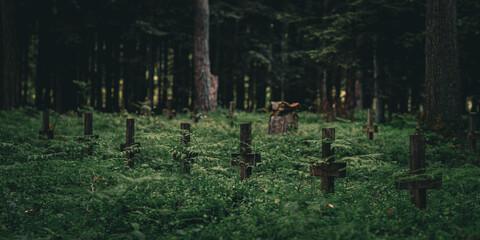 Old wooden crosses stand amidst overgrown vegetation in a secluded forest cemetery, creating a...