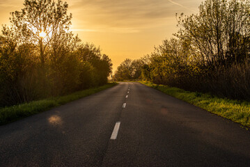 Fototapeta premium road in summertime
