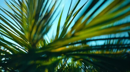 Vibrant palm leaves swaying in the summer breeze Generative AI - Powered by Adobe