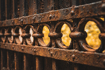 Close-up of a decorative pattern made of circular elements on a vintage wrought iron fence. The...
