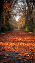 Autumnal Pathway A Sunlit Lane Covered in Fallen Leaves