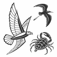 Bird eagle crab sea wildlife nature flight animals