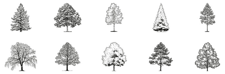 Monochrome Tree Sketch Side View Set. Architectural Elevation And Environmental Design Collection. Isolated Vector Illustration