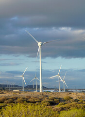 Wind turbines generating electricity in Montana Pelada, Tenerife, Canary Islands,Spain.Sustainable renewable green energy concept