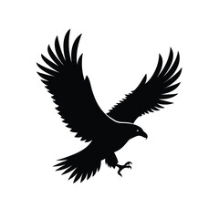 eagle in flight