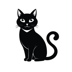 black and white cat