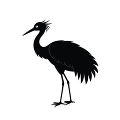 black crowned crane