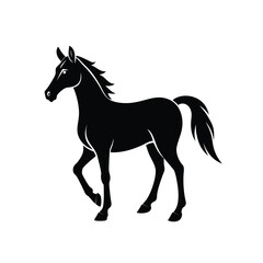 horse silhouette vector