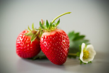Fresh strawberries of juicy red color on a minimalistic background
