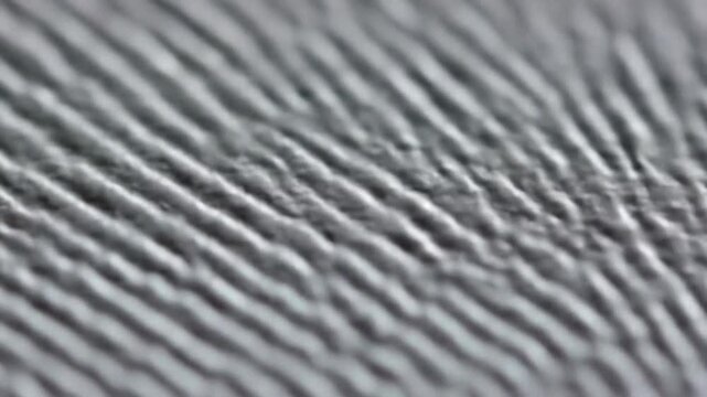 Microscopic Feather Texture Closeup Barbule Detail, Natural Structure, Avian, Wildlife, Biology,