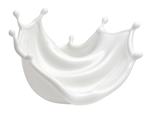 Milch splash isoliert auf weißen Hintergrund 