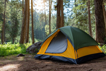 Camping tent set up in a forest during sunny daylight hours