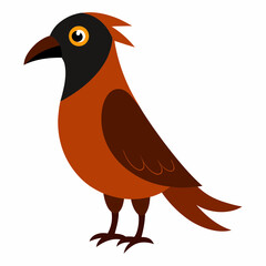 vector illustration of a bird