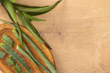 Aloe vera plant on a wooden background, sliced for further use as a medicinal product.