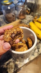 homemade chocolate and oatmeal cookies
