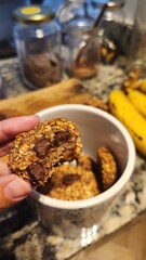 homemade chocolate and oatmeal cookies