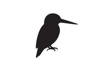 Obraz premium Kingfisher silhouette on white background.01