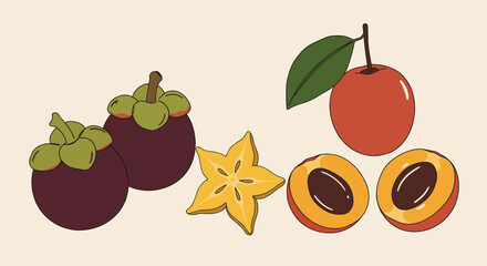 Exotic Fruits Illustration Mangosteen, Star Fruit, and Tropical Fruit