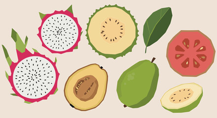 Vibrant Tropical Fruit Illustration Dragon Fruit, Guava, and More