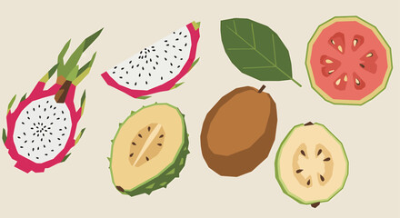 Vibrant Tropical Fruit Illustration Dragon Fruit, Guava, Kiwi, and More