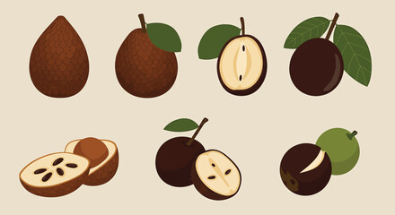Assorted Illustrated Exotic Fruits with Detail View on Neutral Background