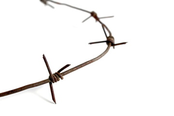  Barbed wire lies on a white background.