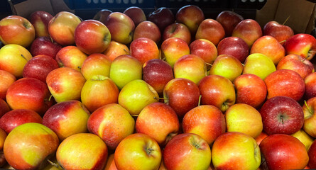 Fresh apples on the counter of a grocery store. 