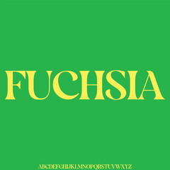 Elegant and strong decorative display font vector. Creative trendy curvy typography style illustration