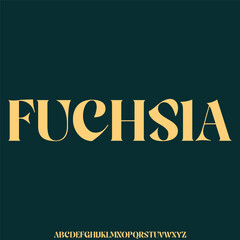 Elegant and strong decorative display font vector. Creative trendy curvy typography style illustration