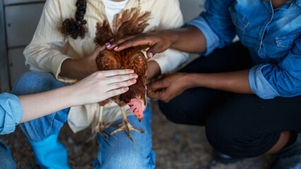 Female farmer with teenager tending chickens in a coop on a small rural farm, local business and agriculture concept.